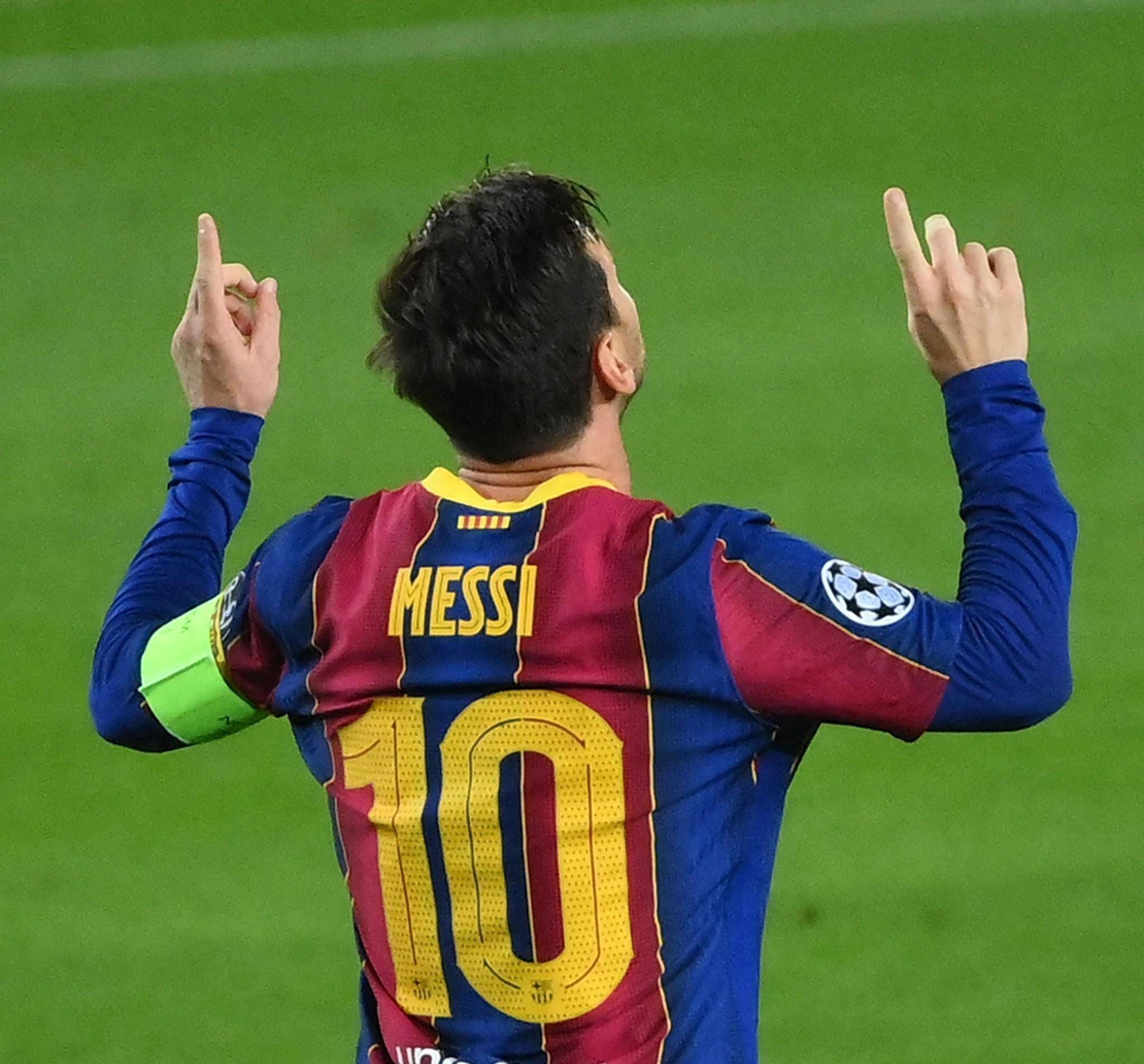 适应红土的 适应红土的