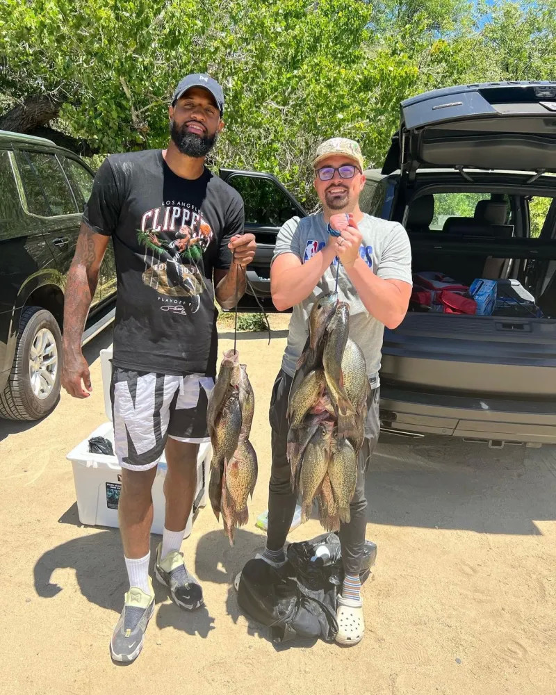 仅令球队的 仅令球队的